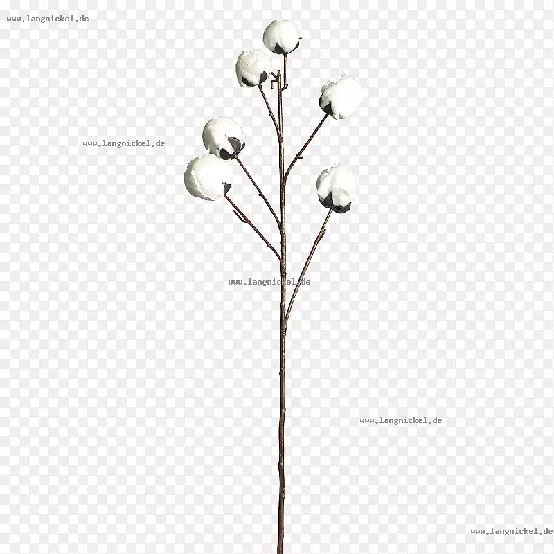 Сֲ֦�ﾥ����ֲ��-������