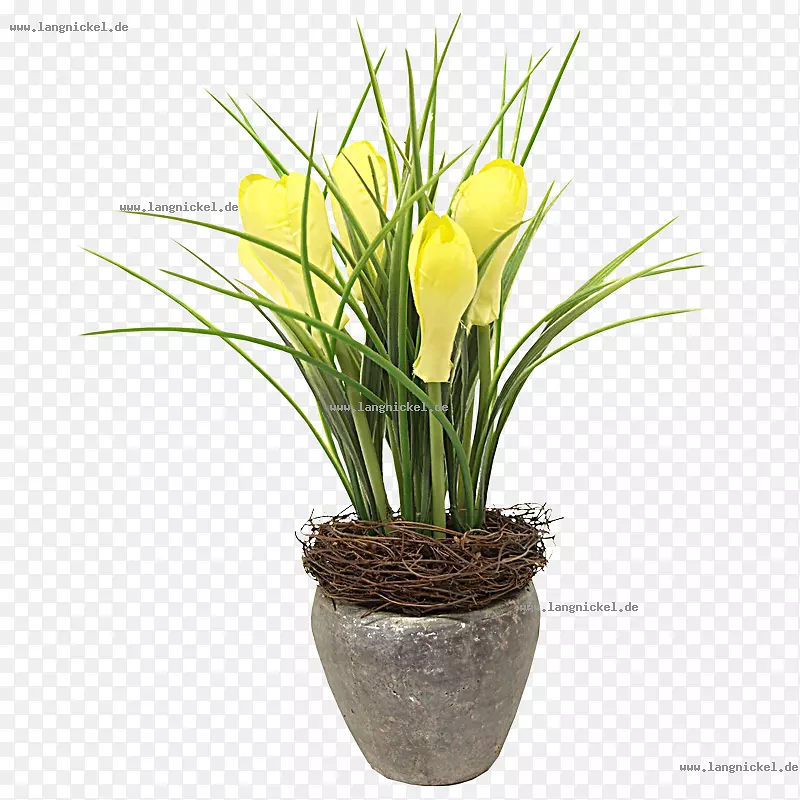 ������ƻ����˹������л�.����-������