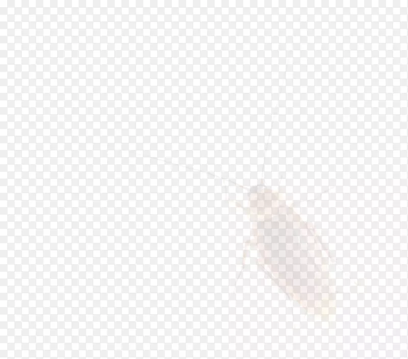 ���-���-������