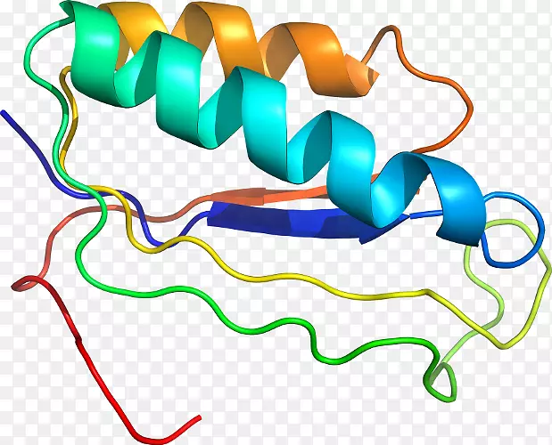 �ߵ������������-������