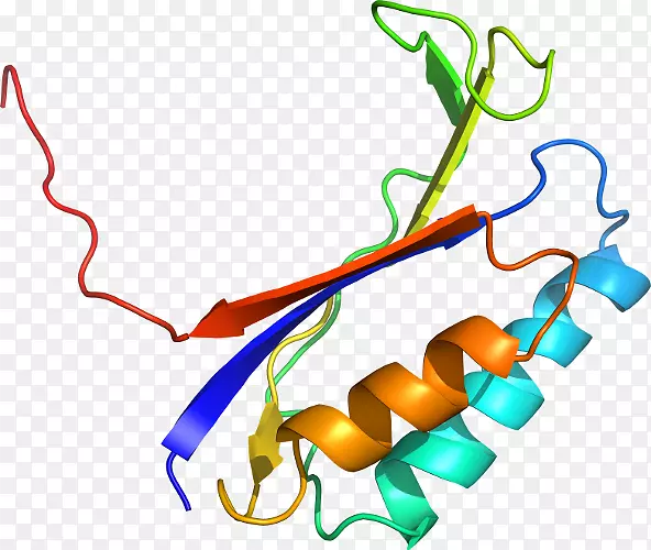 ֱ�ߵ�ֲ�ﾥ��������-������