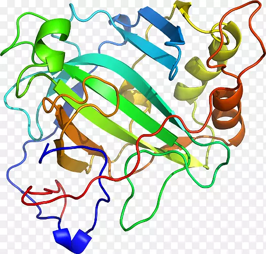 �ߵ������������-������