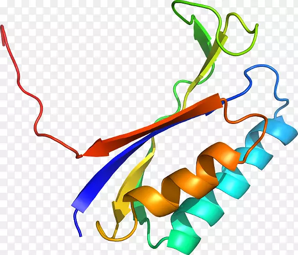 �ߵ������������-������