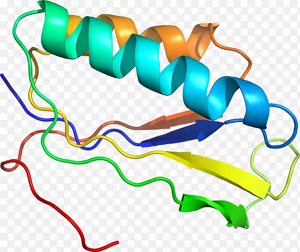 �ߵ������������-������