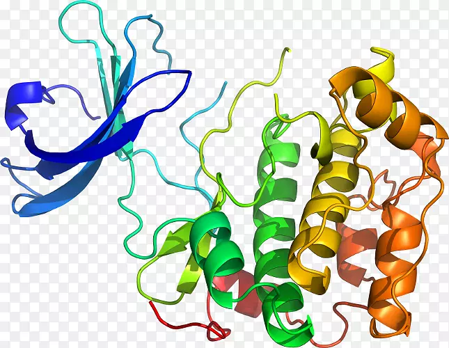 �����߶����������-������