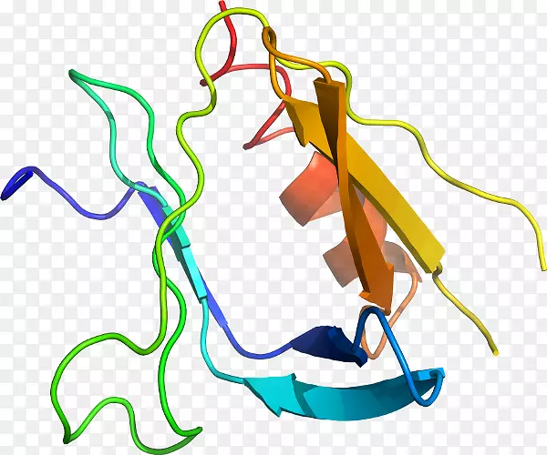 �ߵ������-��-������