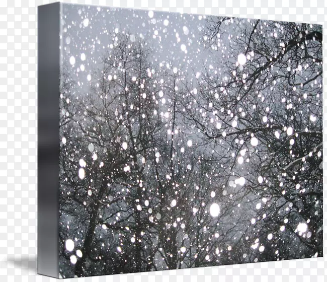 ������-������