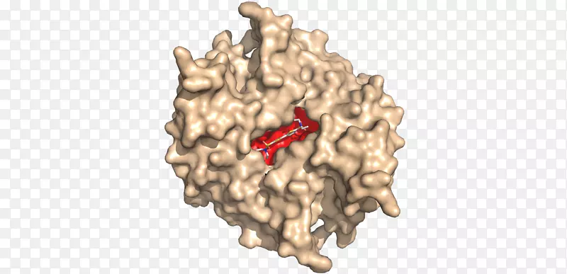 ��-��-������