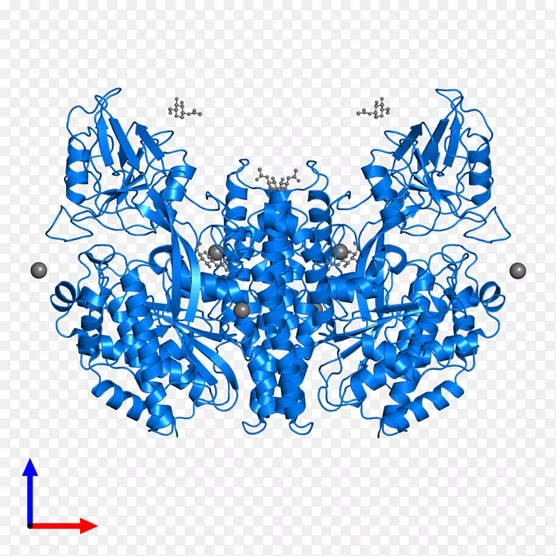 �ߵ������-��-������