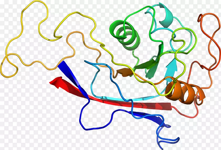 �ߵ������������-������