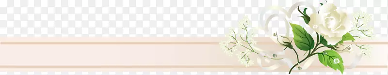 �л�������Ʋݾ����-������