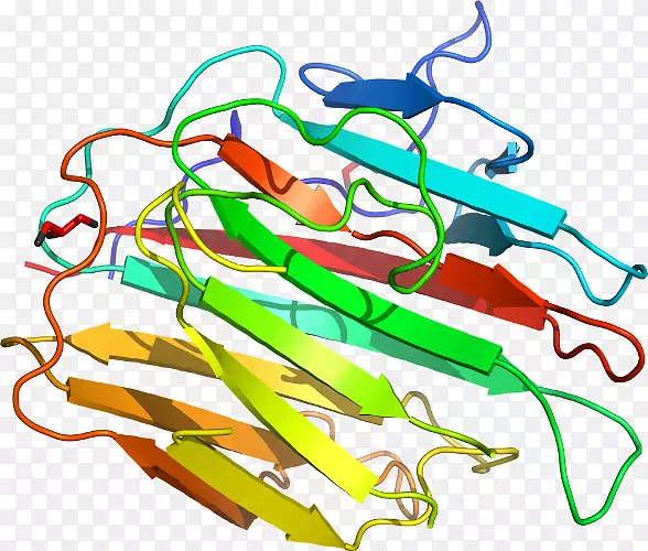 ֱ�ߵ�ֲ�ﾥ��������-������