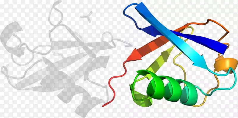 ��ָ���������-������