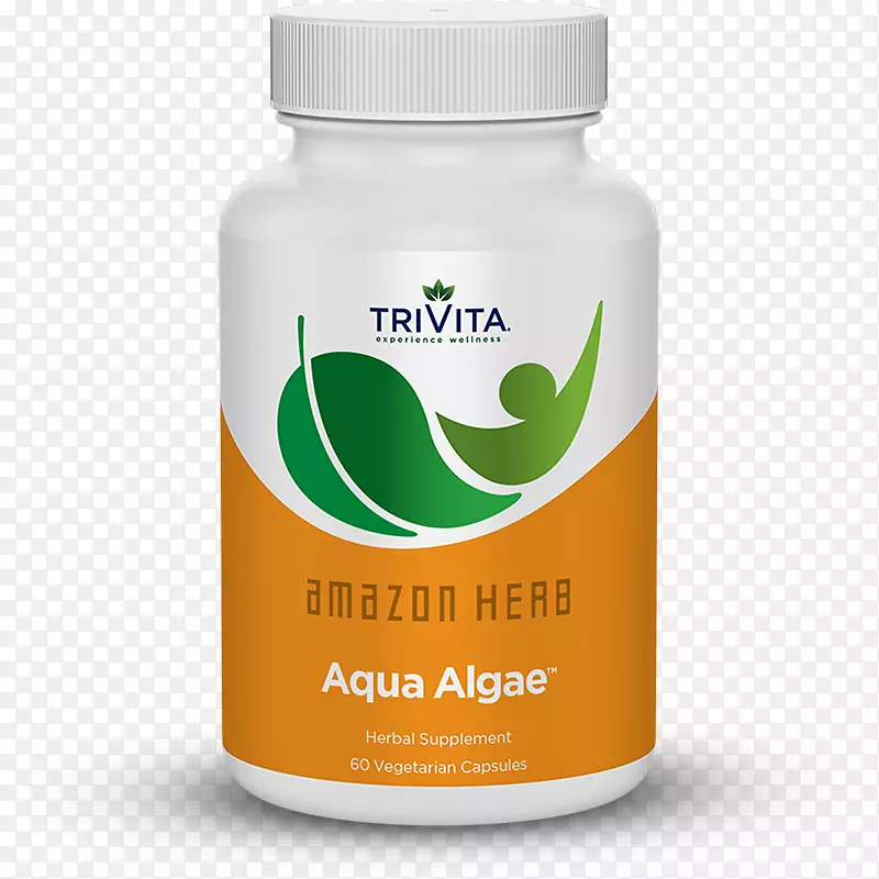 ��ʳ���������ѷ�ȴ�������Ѫ�ݲ�-������