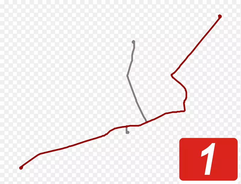 ֱ�ߵ����-������