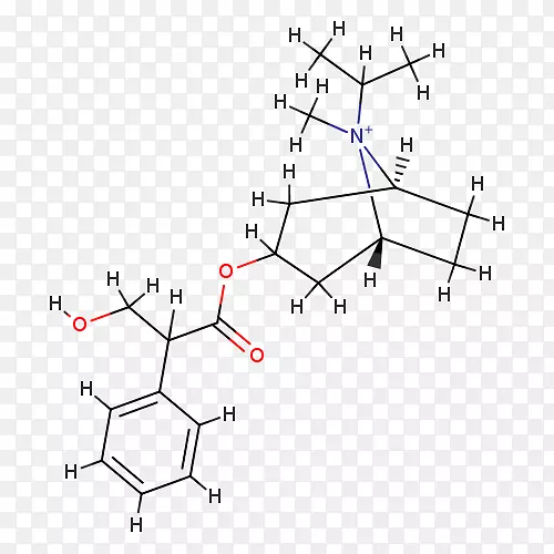 ֱ�ߵ����-������