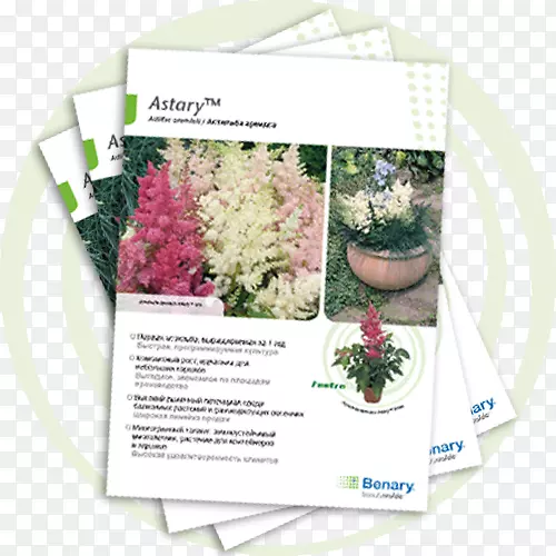 �������ҩ�����-������