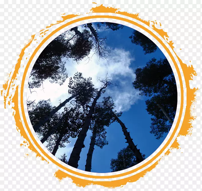 �����ֽ��ͼƬ.��-������