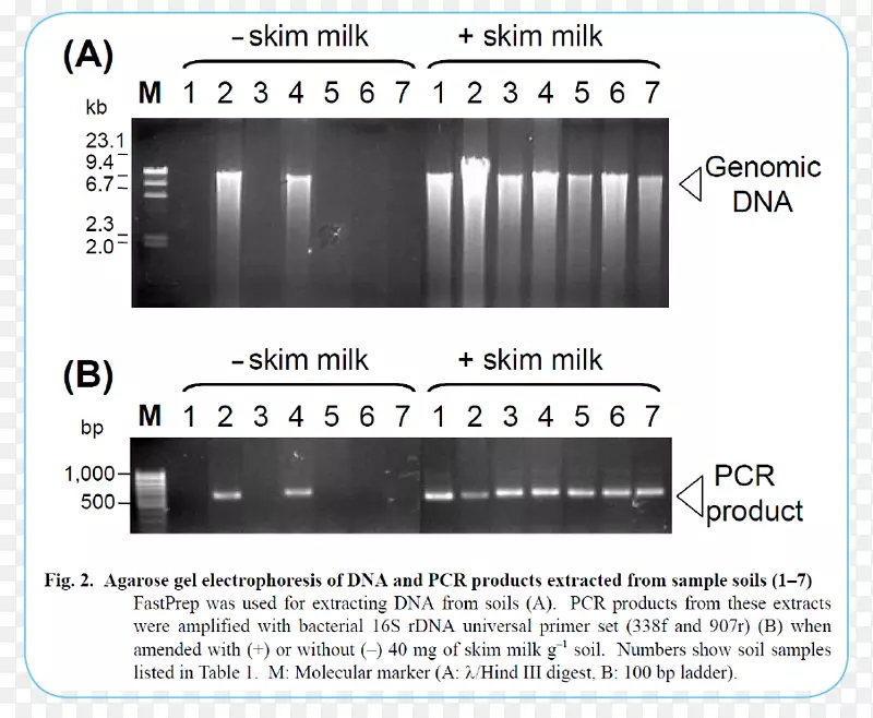 �������ߵ���ջ���Ƶ��ɫ����-������