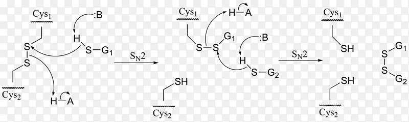������ɫ�������ν�-����-������