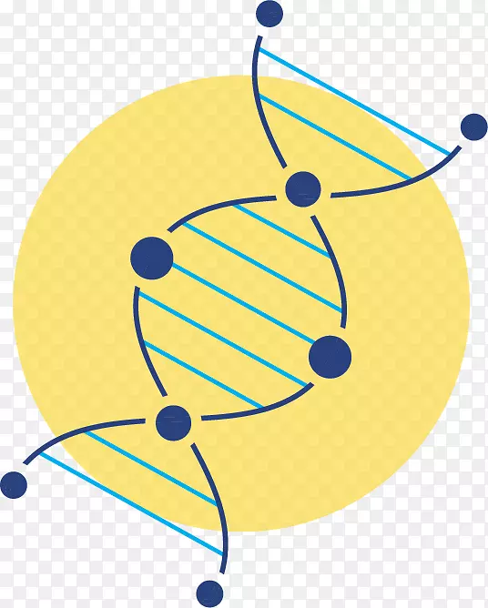 �ߵ������-��-������