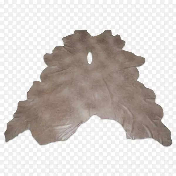 ��ë-������