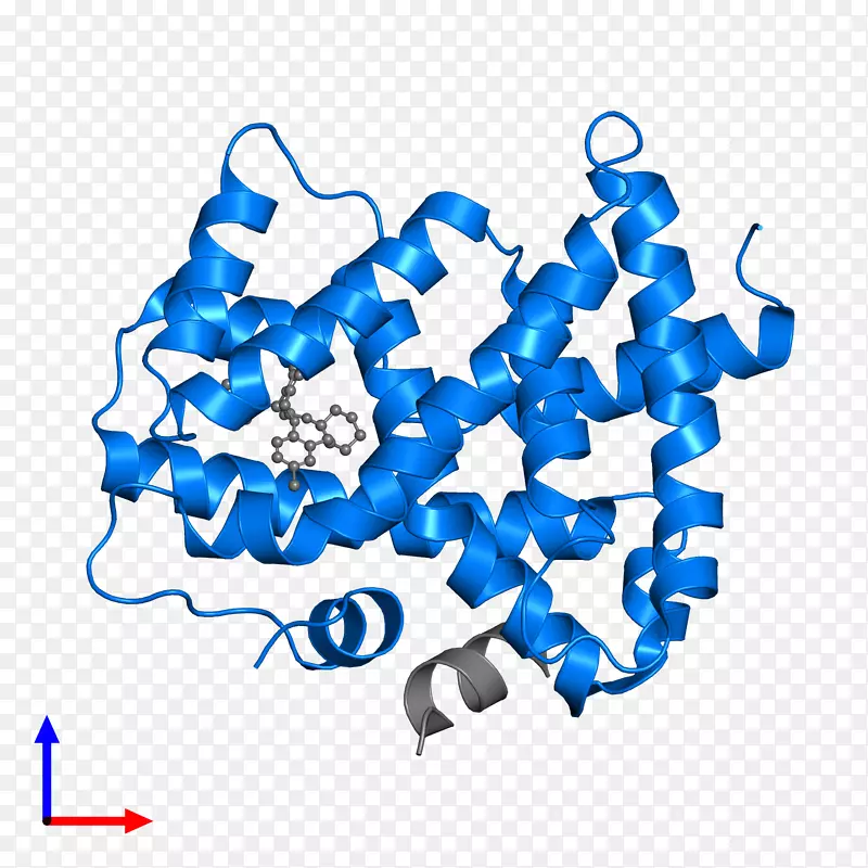 �ߵ㼼����������-������