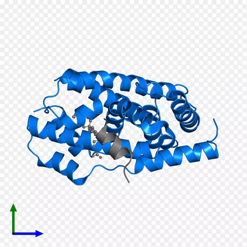 ����������.����-������