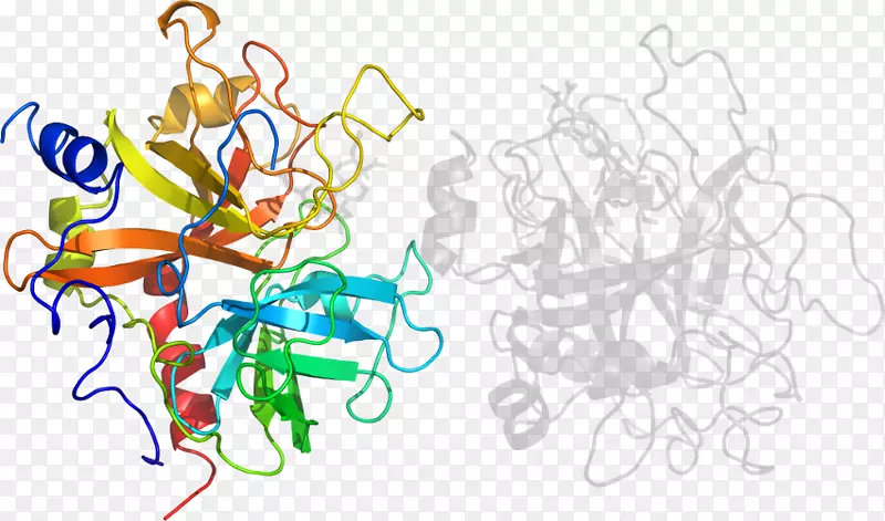 ƽ�������������-��-������