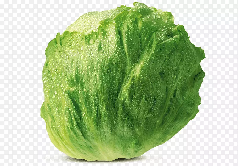 ���˰����������α�ɽݫ��ʮ�ֻ����߲�-������