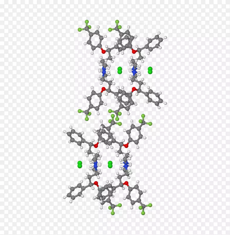 ʥ�������������-������