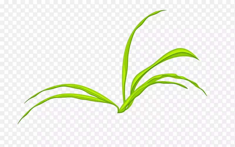 Ҷ�ݡ�������ֲ�ﾥ-��ʲ�-������