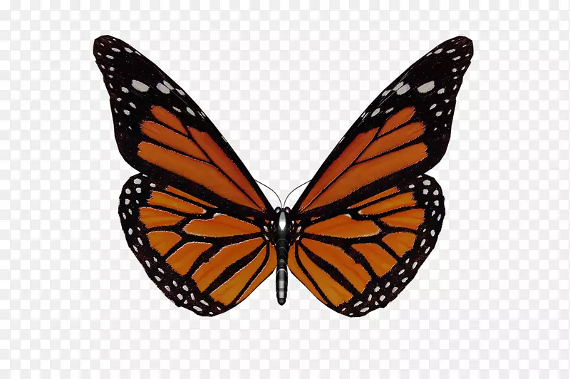 ����-������