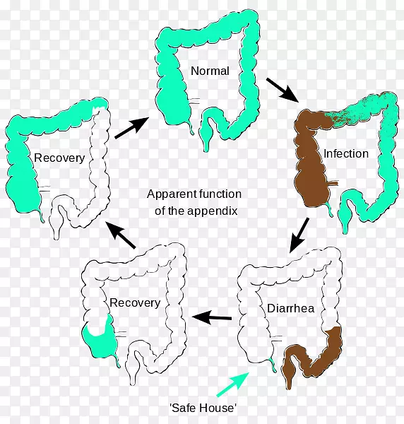 ������β���ܲ���ä����������-������