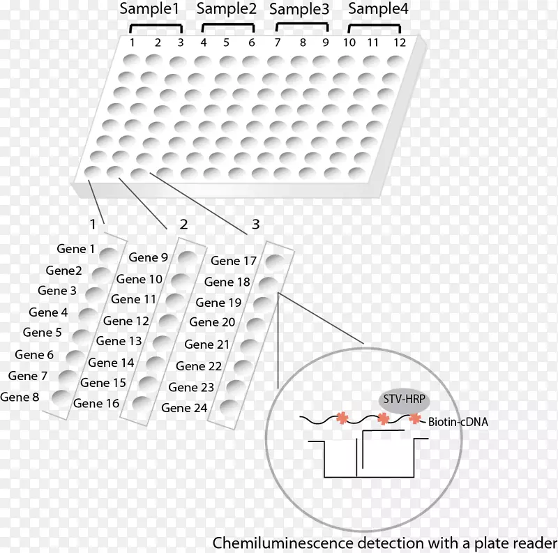 Ʒ���ߵ����-������