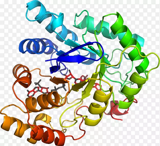 �����鱦�л�������������.�鱦-������