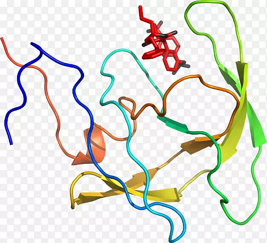 �ߵ������������-������