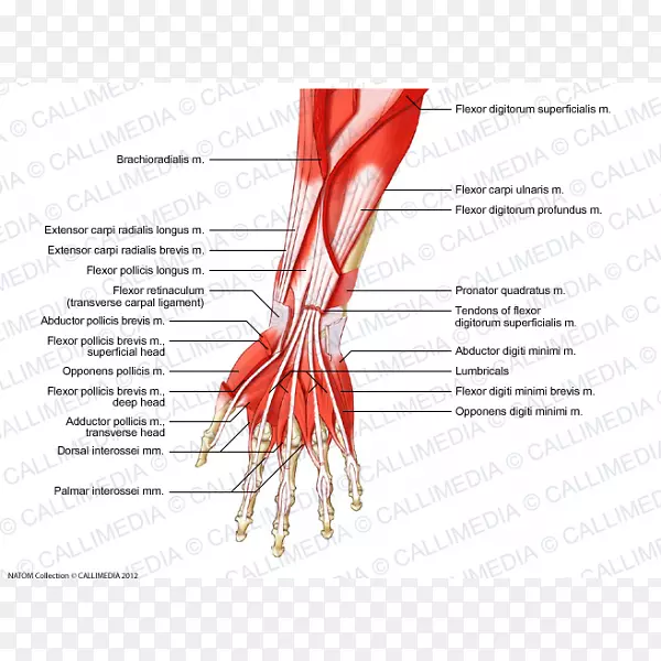 ǰ�ۼ���ϵͳǰ������ʱ�-������