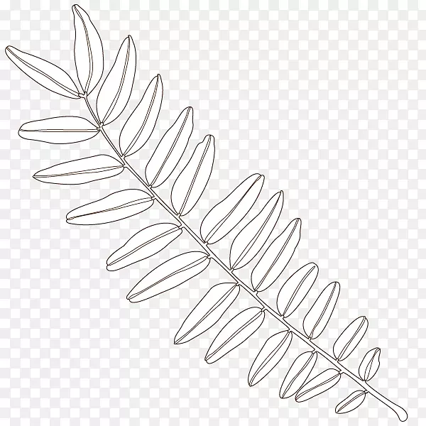 ϸ֦��������Ҷ��-������