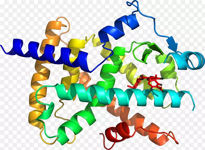 �����߶����������-������