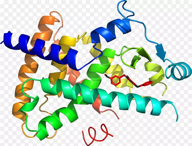 ������Ϊ�л�����������-������