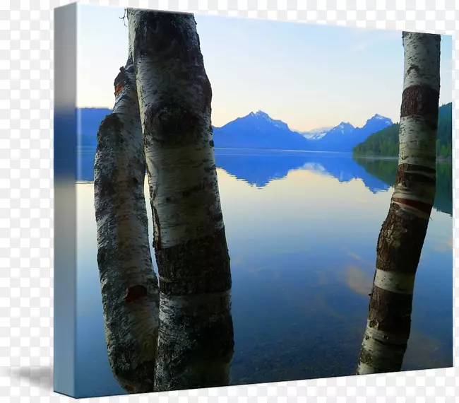 ΢�����������-������