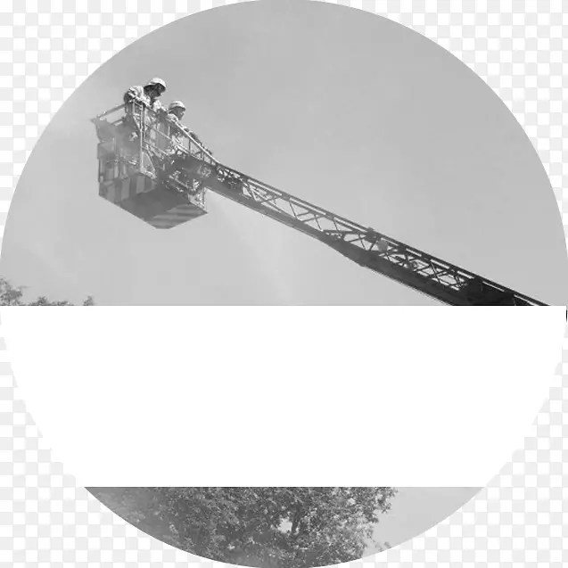 ��ɫ���-������