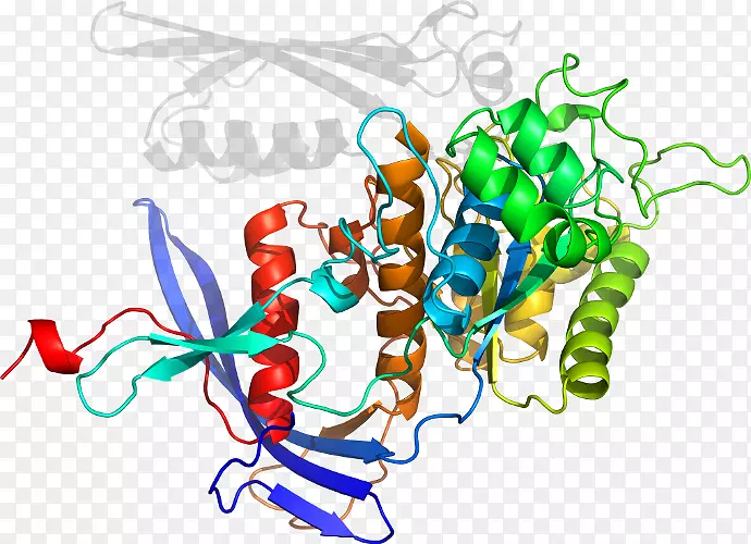 ƽ������л�����������-������