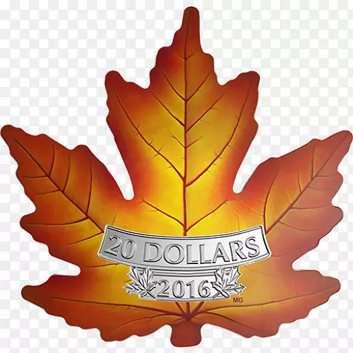 ���ô���Ҷ�ʼҼ��ô�����-���ô�-������