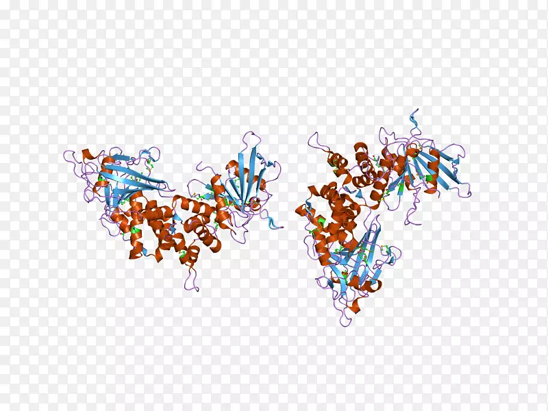 �����鱦����-�鱦-������