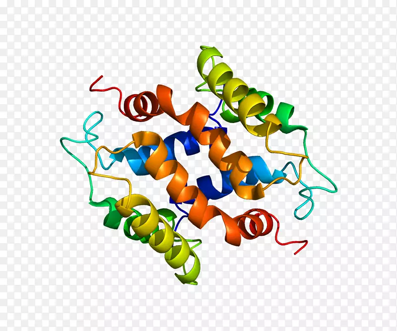 �����߶����������-������