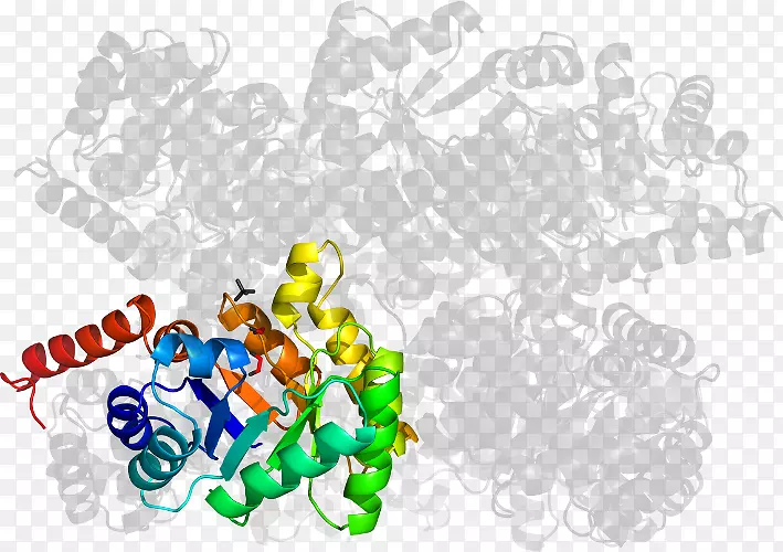 �����ֽ���Լ���������-������