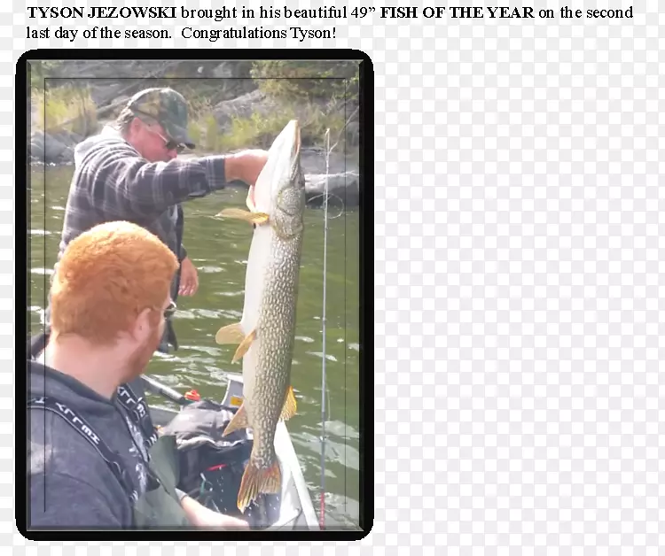 ��������-����-������