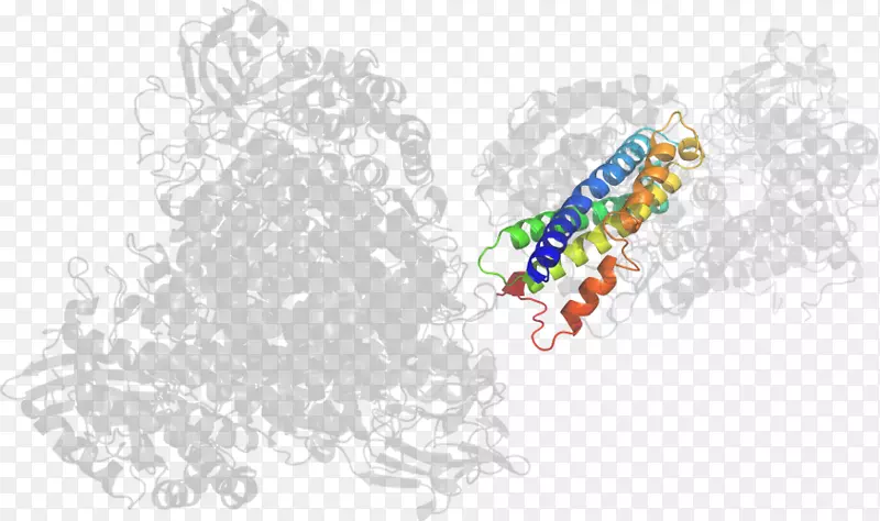 ��������.���-������